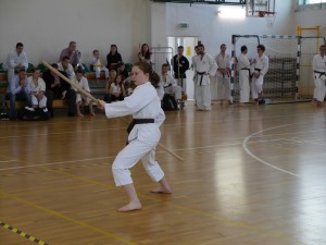 Warszawski Turniej Karate i Kobudo
